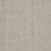 A1001096T